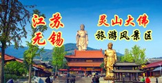 干亚洲美女江苏无锡灵山大佛旅游风景区